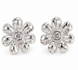 Aros Plata Iris