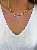 COLLAR BOR MOSTACILLA GITANA 1.2 MTRS