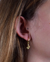 Argollas Oro Mini Caracola