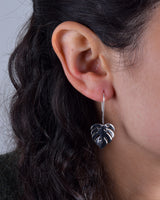 Aros Plata Filodendro