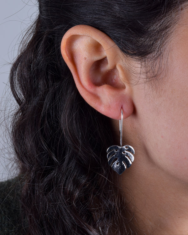 Aros Plata Filodendro