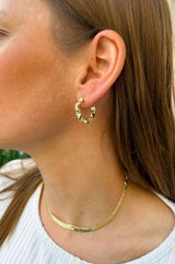 ARGOLLAS BOR IRREGULAR CHICA