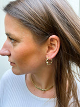 ARGOLLAS BOR IRREGULAR CHICA