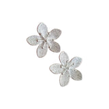 Aros Plata Belen