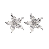 Aros Plata Emily