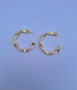 ARGOLLAS BOR IRREGULAR CHICA