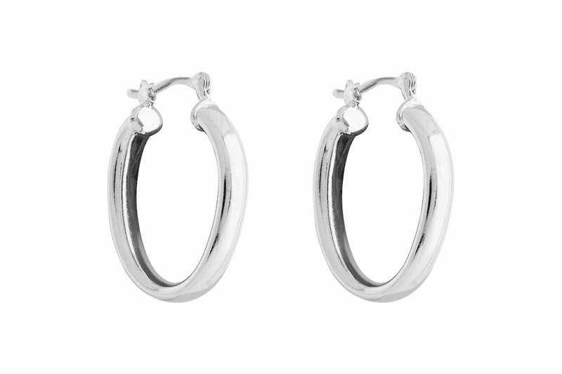 ARGOLLAS PLATA ELISA