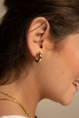 ARGOLLAS BOR LOURDES