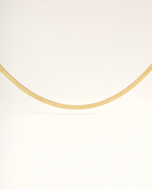 COLLAR BOR CINTA
